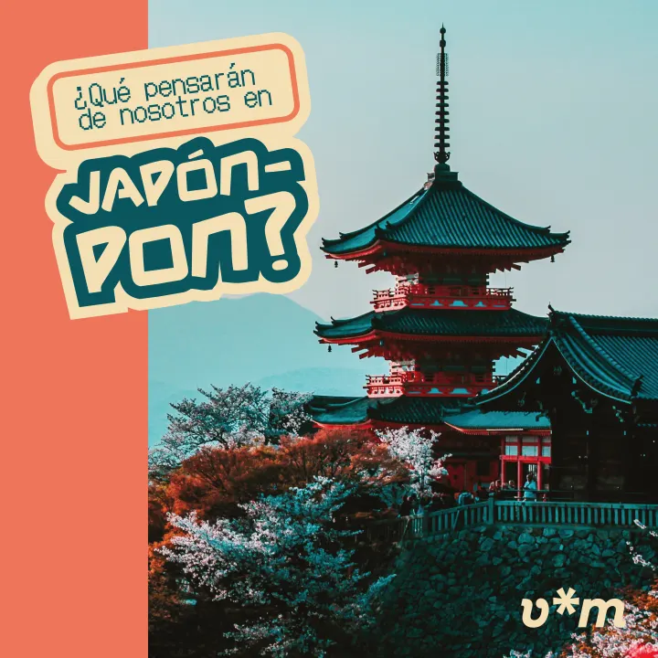 Paquete a Japón